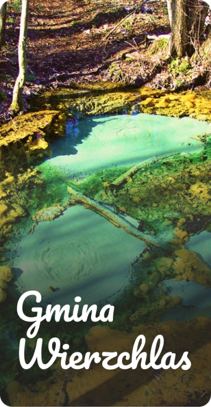 Gmina Wierzchlas