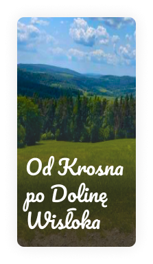 Od Krosna po Dolinę Wisłoka